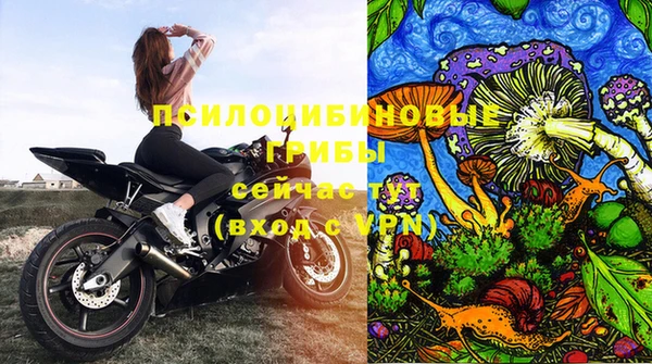 прущие крисы Осинники