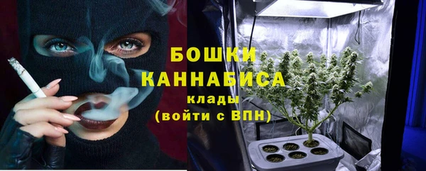 прущие крисы Осинники